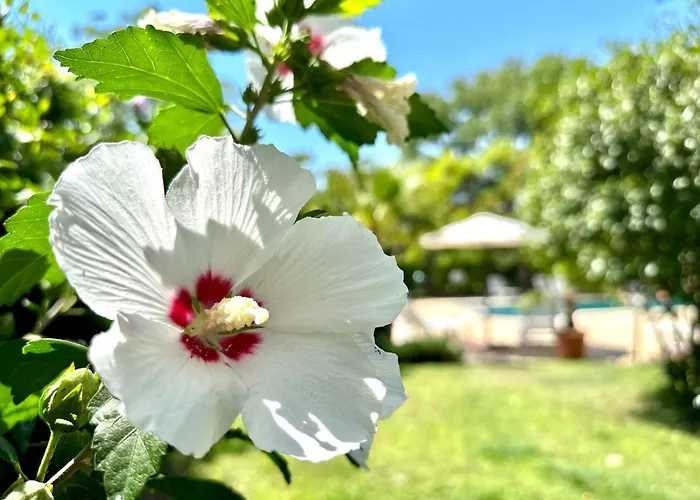 Aria - Menada Lejlighed Sunny Beach